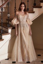 Cinderella Divine B703 Dress