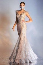Cinderella Divine C57 Dress