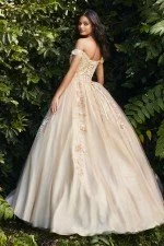 Cinderella Divine CD0185 Dress