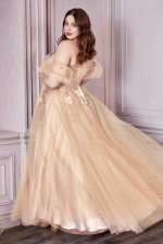 Cinderella Divine CD0191C Dress
