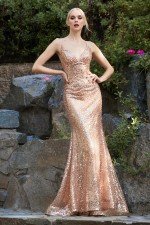 Cinderella Divine CH235 Dress