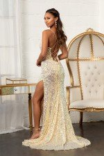 Elizabeth K GL3051 Dress